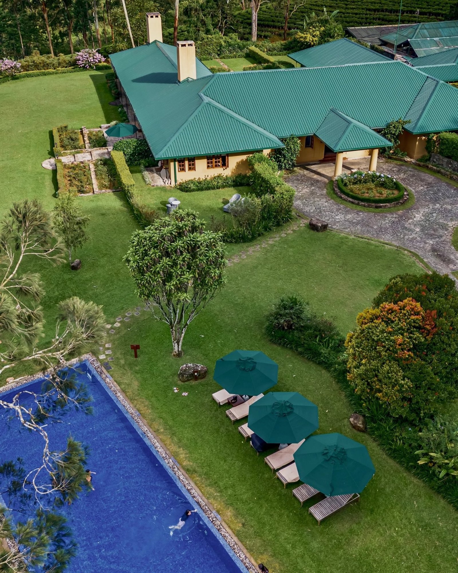 Best Luxury Hotels Sri Lankaswimming pool surrounded by lush gardens in Sri Lanka’s hill country